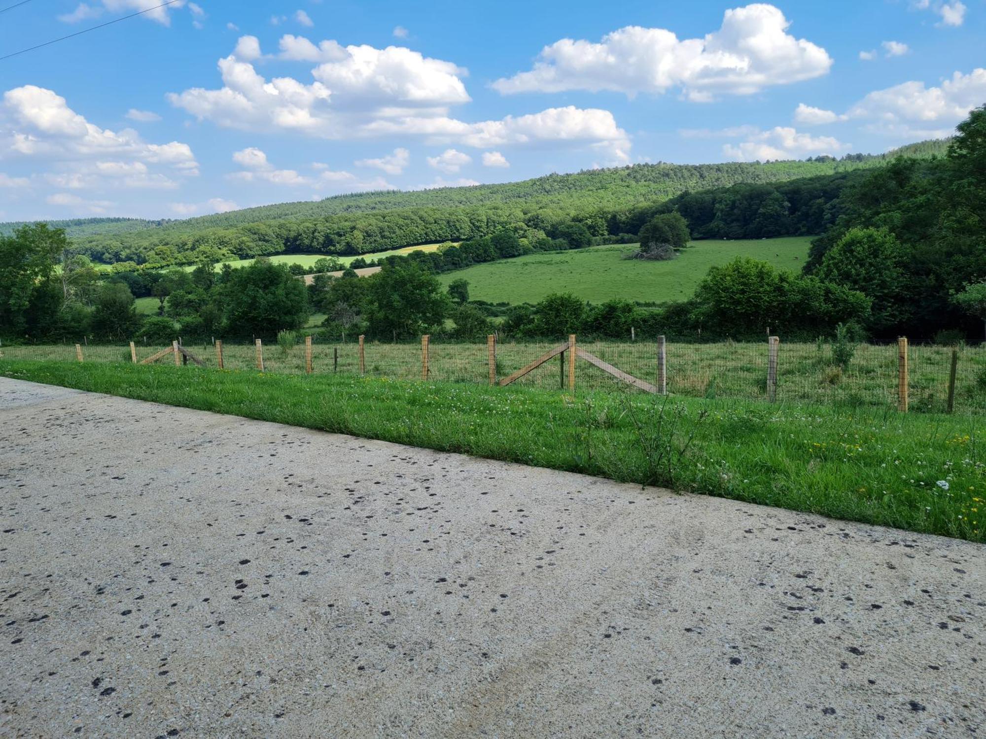 Gite Avec Vue Panoramique, Ideal Pour Un Weekend ! Mont-Saint-Jean  Eksteriør bilde